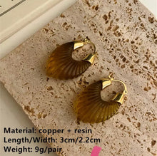 Load image into Gallery viewer, Resin Brown Earrings
